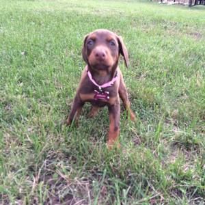 Meet your Posher, Evan