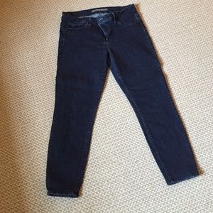 Joe's Juliette Skinny Jeans Ankle Length