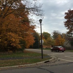 Meet your Posher, Isabel