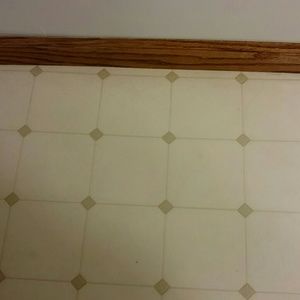 Meet your Posher, Dawn