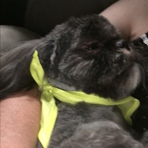 Meet your Posher, Flora