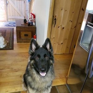 Meet your Posher, Beverly