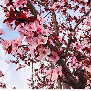 Meet your Posher, Janet