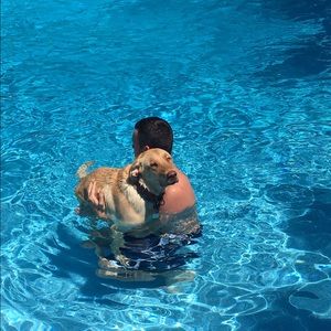 Meet your Posher, Sam