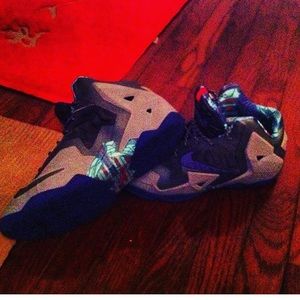 I'm selling these Lebron 11 terracotta Warriors