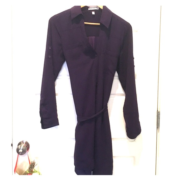 Express Portofino Shirt Dress - Purple