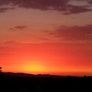 Meet your Posher, Elke