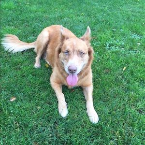 Meet your Posher, Matt