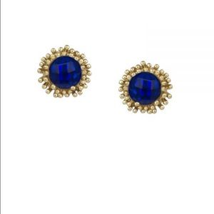 Kendra Scott Carly stud earrings in cobalt