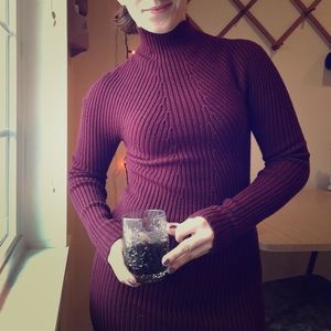 Maroon Knit Turtleneck Bodycon