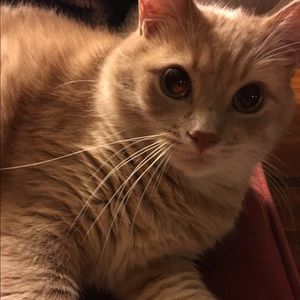 Meet your Posher, Kayla