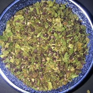 Meet your Posher, Austin