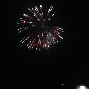 Meet your Posher, Shellie