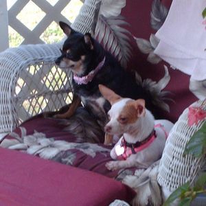 Meet your Posher, Judy