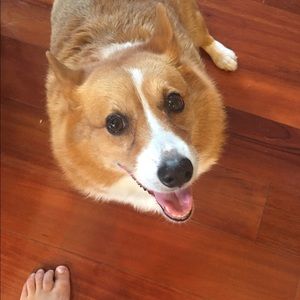 Meet your Posher, Allie