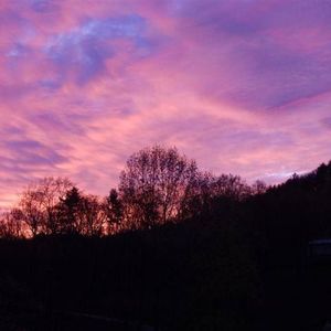 Meet your Posher, Marlene