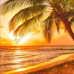 Meet your Posher, Zack