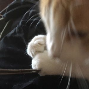 Meet your Posher, Juanita