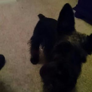 Meet your Posher, Felix