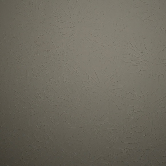 Meet your Posher, Raymon