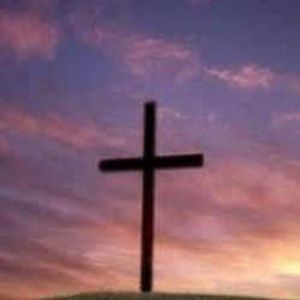 Meet your Posher, Judy