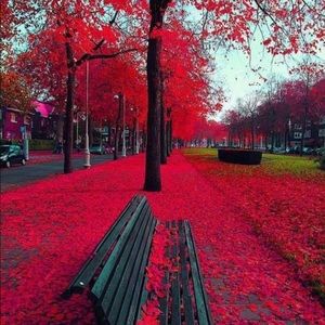 Meet your Posher, Vincent