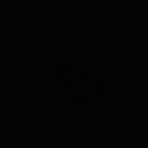 Meet your Posher, Ally