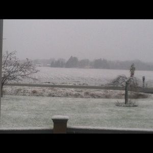 Meet your Posher, Alisha