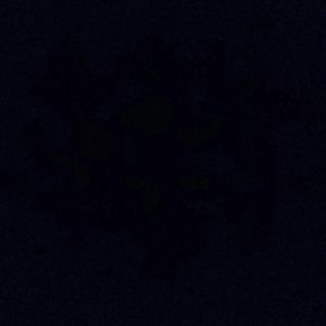 Meet your Posher, Jamia