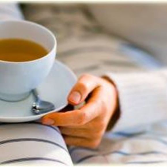 Meet your Posher, Eva