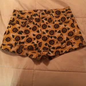 Sunflower shorts