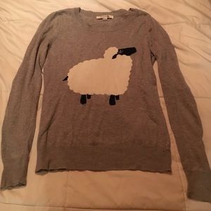 Sheep sweater