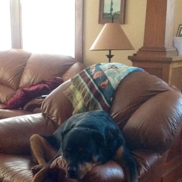 Meet your Posher, Jeanne - Picture 1 of 1