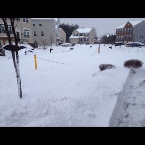 Meet your Posher, Mona