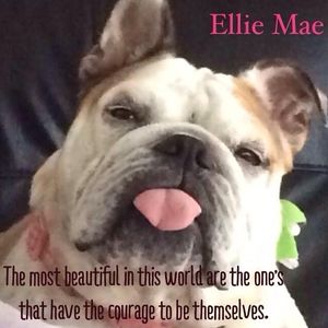 Meet your Posher, Heidi