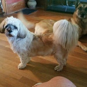 Meet your Posher, Tina