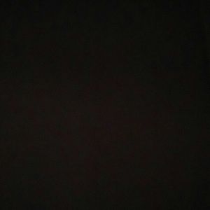 Meet your Posher, Autumn