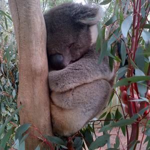 Meet your Posher, Cathy