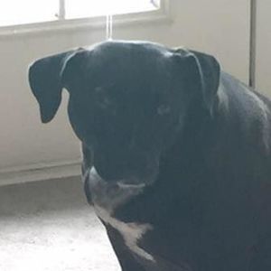 Meet your Posher, Nathan