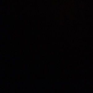 Meet your Posher, Darrell