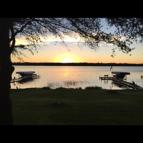 Meet your Posher, Robin - Picture 1 of 1