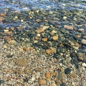 Meet your Posher, Carly