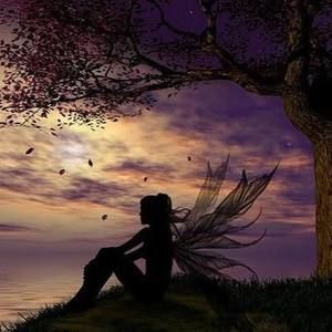 Meet your Posher, Bambi