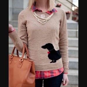 Dachshund instaria sweater