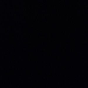 Meet your Posher, Blanche