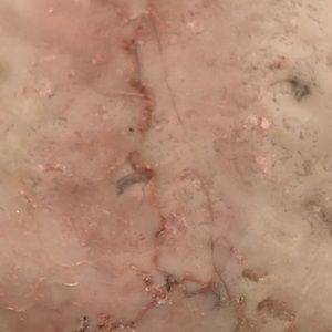 Meet your Posher, Leonard