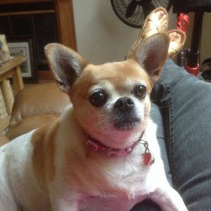 Meet your Posher, Anita