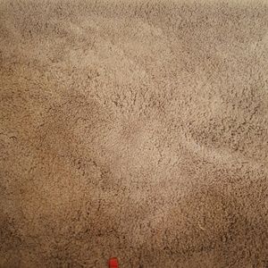 Meet your Posher, Troy