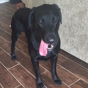 Meet your Posher, Cara