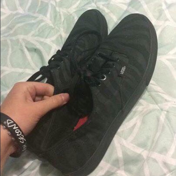 Zebra Vans